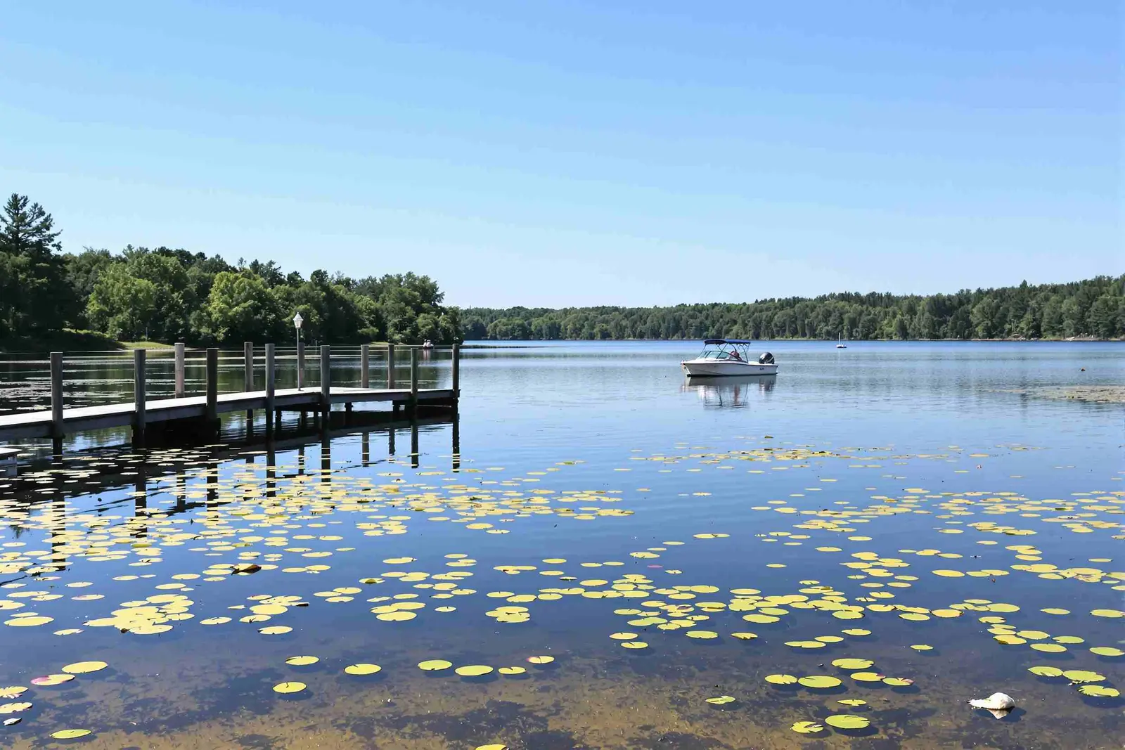 Top 5 Family-Friendly Fishing Spots Near the Lodge