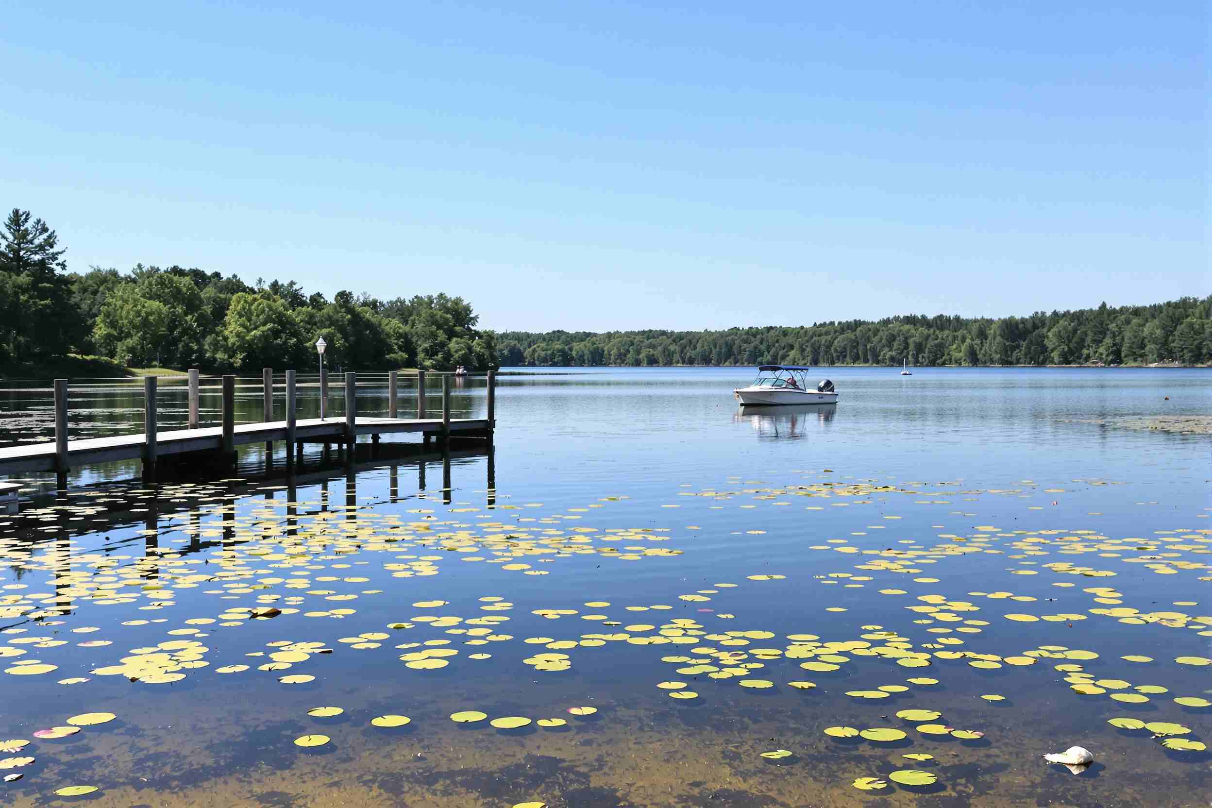 Top 5 Family-Friendly Fishing Spots Near the Lodge