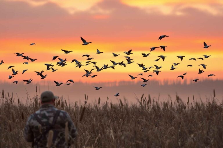 Waterfowl Hunting on Remote Ontario Marshes