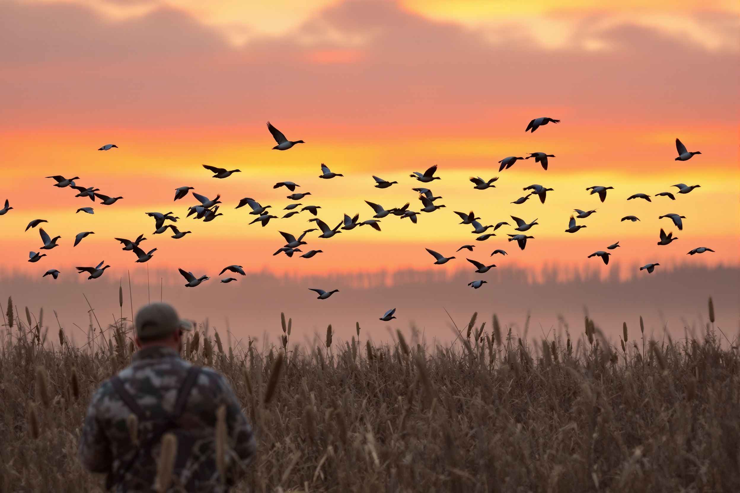 Waterfowl Hunting on Remote Ontario Marshes